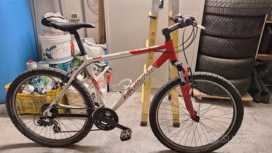 Bicicletta Skilled 26