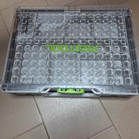 festool
