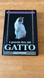 Libri