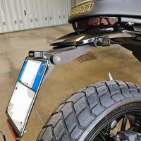 Portatarga alto Ducati scrambler 800 next gen