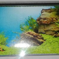 Sfondo Poster per Acquario o Terrario