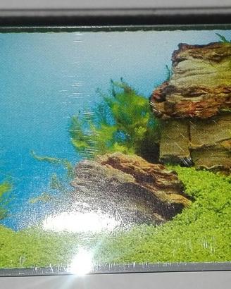 Sfondo Poster per Acquario o Terrario