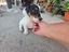 Immagine 5