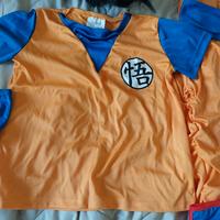 costume carnevale goku