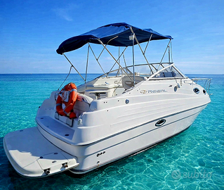 Regal Marine 2465 Commodore con posto barca