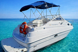 Regal Marine 2465 Commodore con posto barca