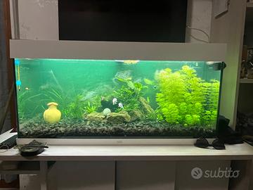 Acquario 180 litri