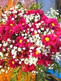 Crisantemi e composizioni floreali 💐 Fucsia