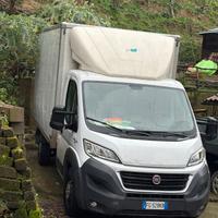 Fiat Ducato Anno 2016 11q di Portata Utile