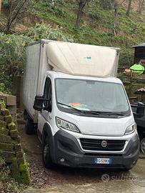 Fiat Ducato Anno 2016 11q di Portata Utile