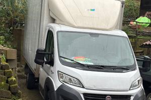 Fiat Ducato Anno 2016 11q di Portata Utile
