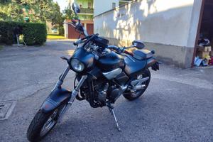 Beta Jonathan 350 - 2006