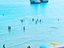 Immagine 23