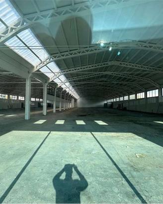 Immobile di 5000 m² con 5 locali a Campogalliano