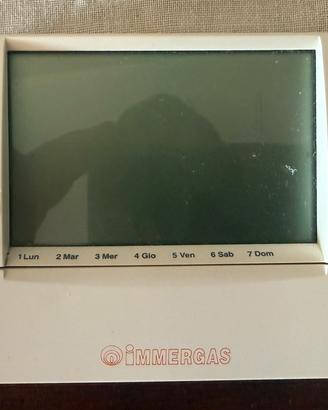 Termostato immergas