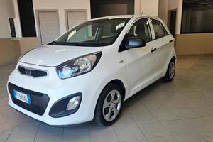 Kia Picanto 1.0 12V 5 porte Trendy