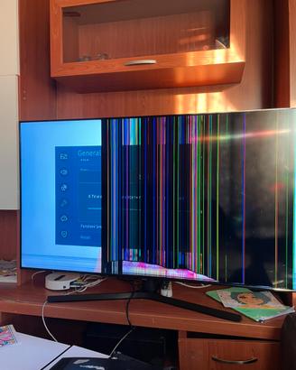 Pezzi di ricambio samsung 55 pollici