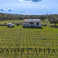 Terreno Agricolo - Oschiri