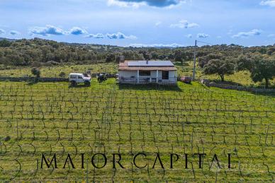 Terreno Agricolo - Oschiri