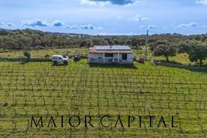 Terreno Agricolo - Oschiri