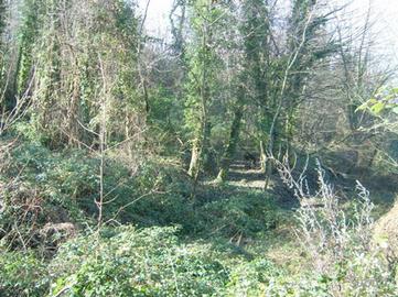 Terreno terrazzato zona Lapio