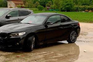 Bmw 228i