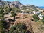 Immagine 11