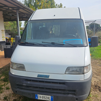 Camper puro