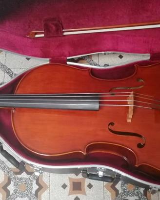Violoncello Pro Studio 4/4 Liuteria Cesarini