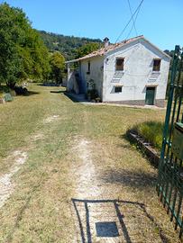 Casa colonica con terreno agricolo a Offagna (Anco