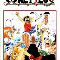 one piece - 110 volumi