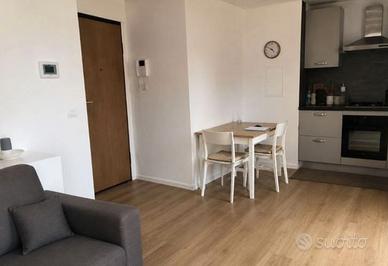 Monolocale ristrutturato a Reggio Emilia