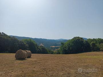 TERRENO da 12.565 m2 in TOSCANA - PRIVATO
