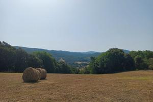 TERRENO da 12.565 m2 in TOSCANA - PRIVATO
