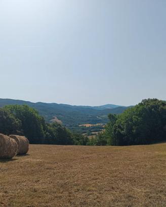 TERRENO da 12.565 m2 in TOSCANA - PRIVATO
