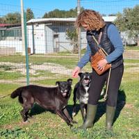 Crik e Crok i cuccioli dimenticati in gabbia