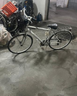 Bici da passeggio