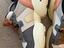 Immagine 2