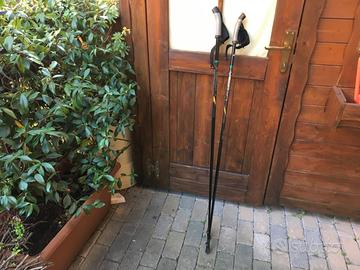Bastoncini nordic walking