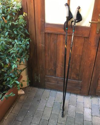 Bastoncini nordic walking
