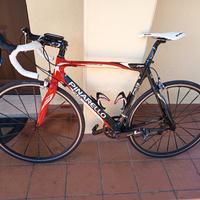 FP4 PINARELLO 