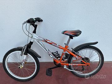 Bicicletta da bambino ragazzo Rondine 20”