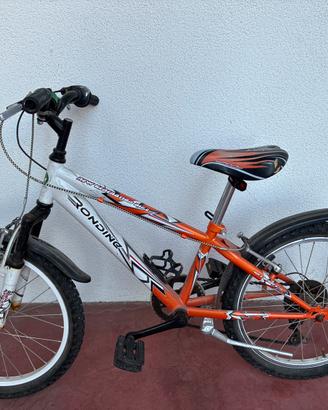 Bicicletta da bambino ragazzo Rondine 20”