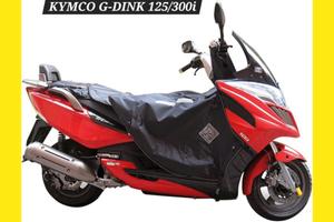 TERMOSCUDO KYMCO GRAND DINK 125 300