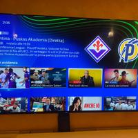 Sony Oled 65" Modello KD-65AG8