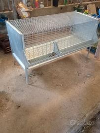 gabbia per pulcinotti
