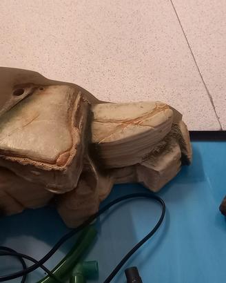 tartarughiera con pompa elettrica