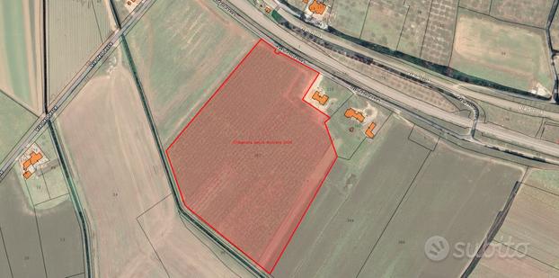 Terreno 4,5 HA. con impianto kiwi verde | TR378