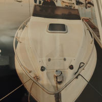 Imbarcazione con fuoribordo 175 cv