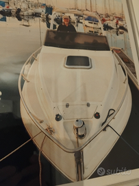 Imbarcazione con fuoribordo 175 cv